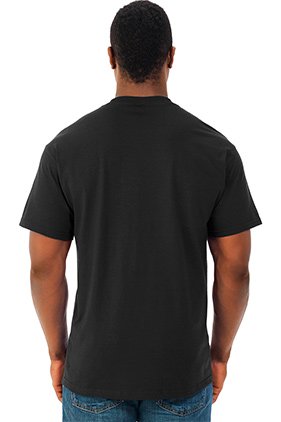 Fruit of the Loom HD Cotton T-shirt Black (Back)
