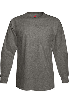 5586 - Hanes Authentic-T Long Sleeve T-shirt